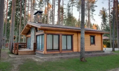 Лучшие дома для зимних активностей